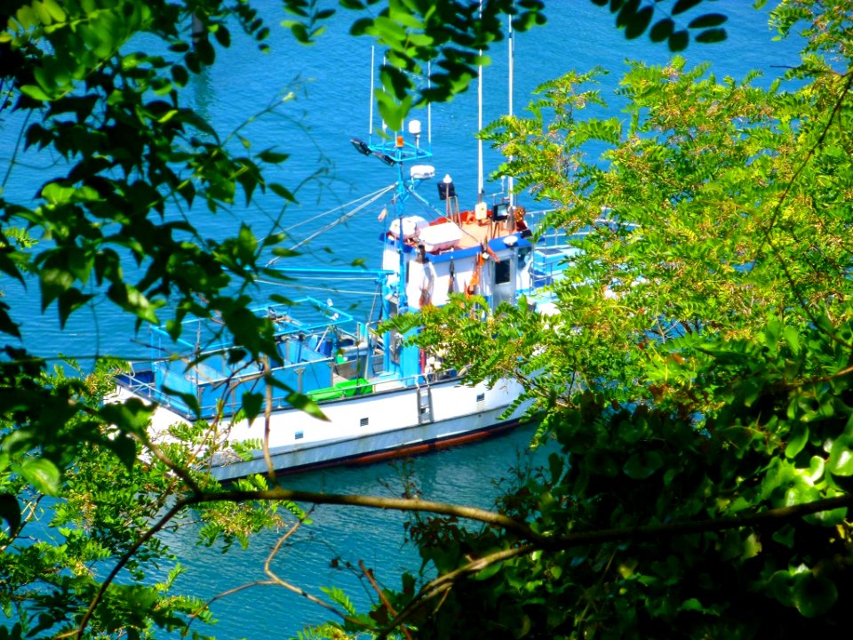 Motrico - Puerto pesquero 15