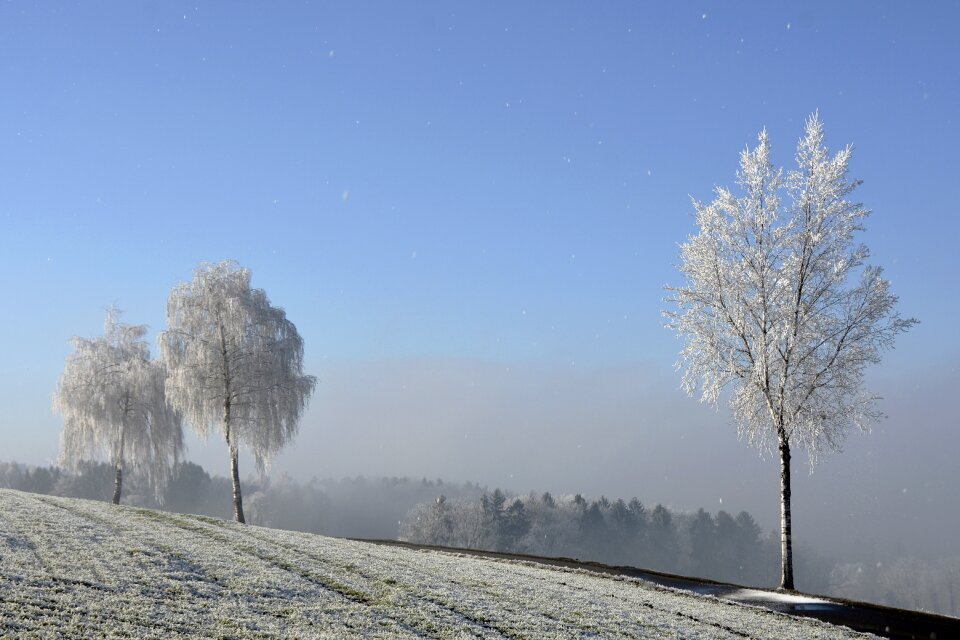 Morgentau ripe nature