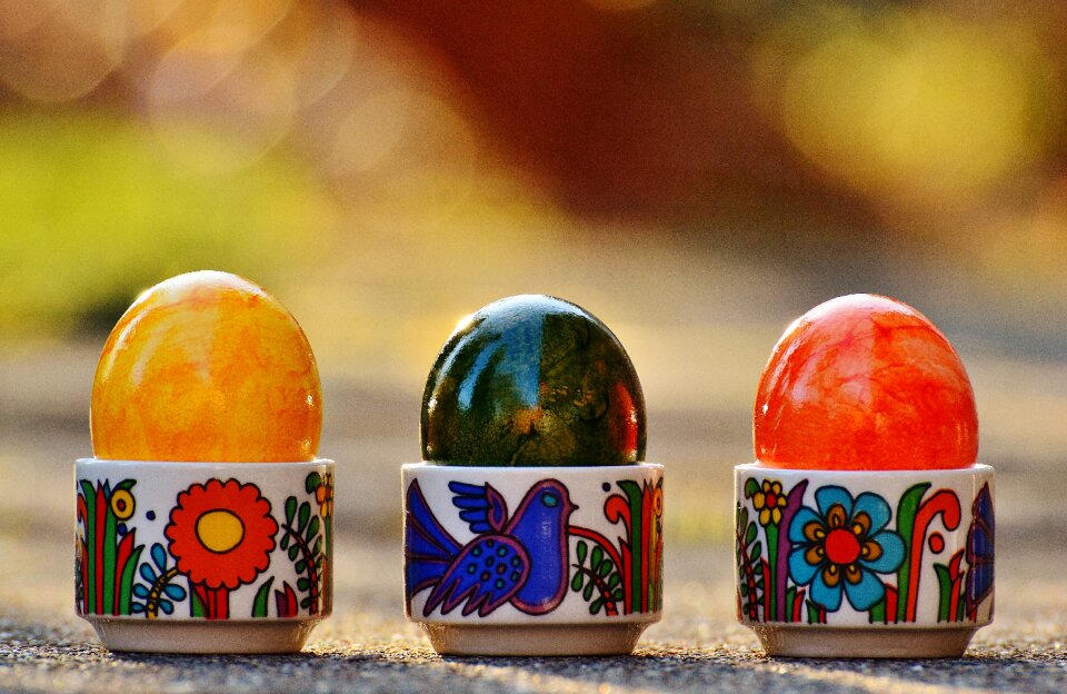 Happy easter egg colored