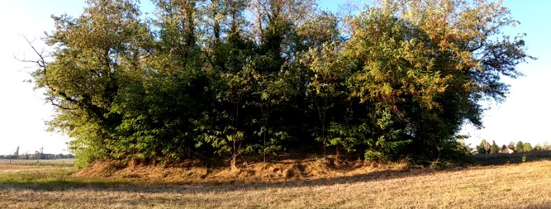 Motte castrale de Saint-André de Corcy - Octobre 2018