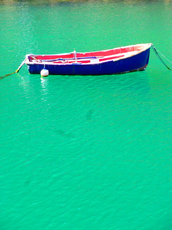 Motrico - Puerto pesquero 13