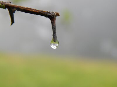 Drop fog drizzle