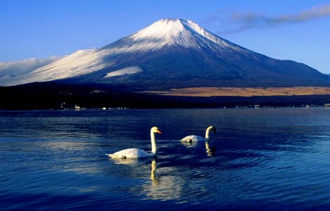 Mount Fuji from Lake Yamanaka 1994-12-10