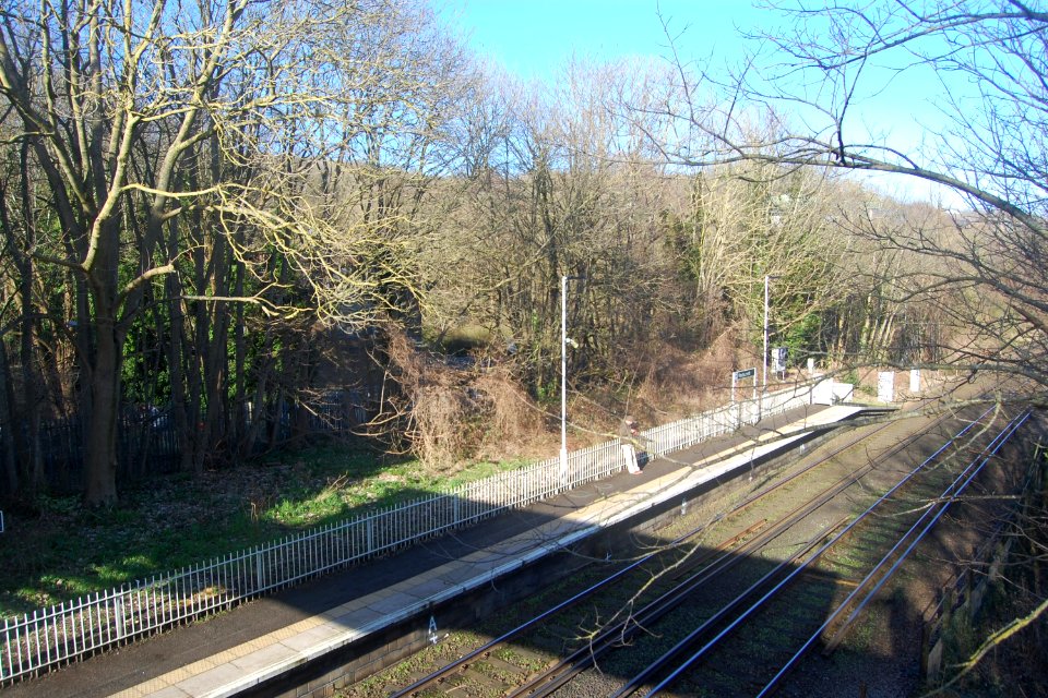 Moulsecoomb Railway Station (February 2020) (1)