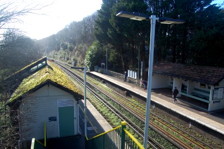 Moulsecoomb Railway Station (February 2020) (2)