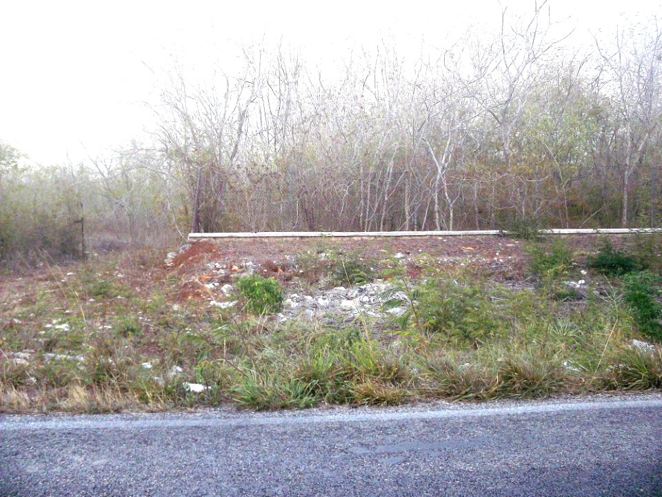 Motul de Carrillo Puerto, Yucatán (07)