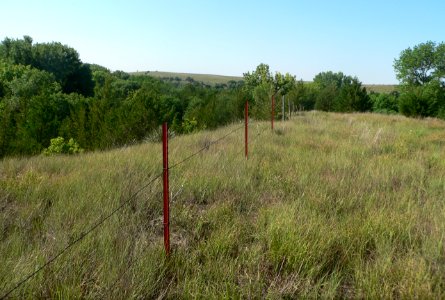 Mowry Bluff site face S 2