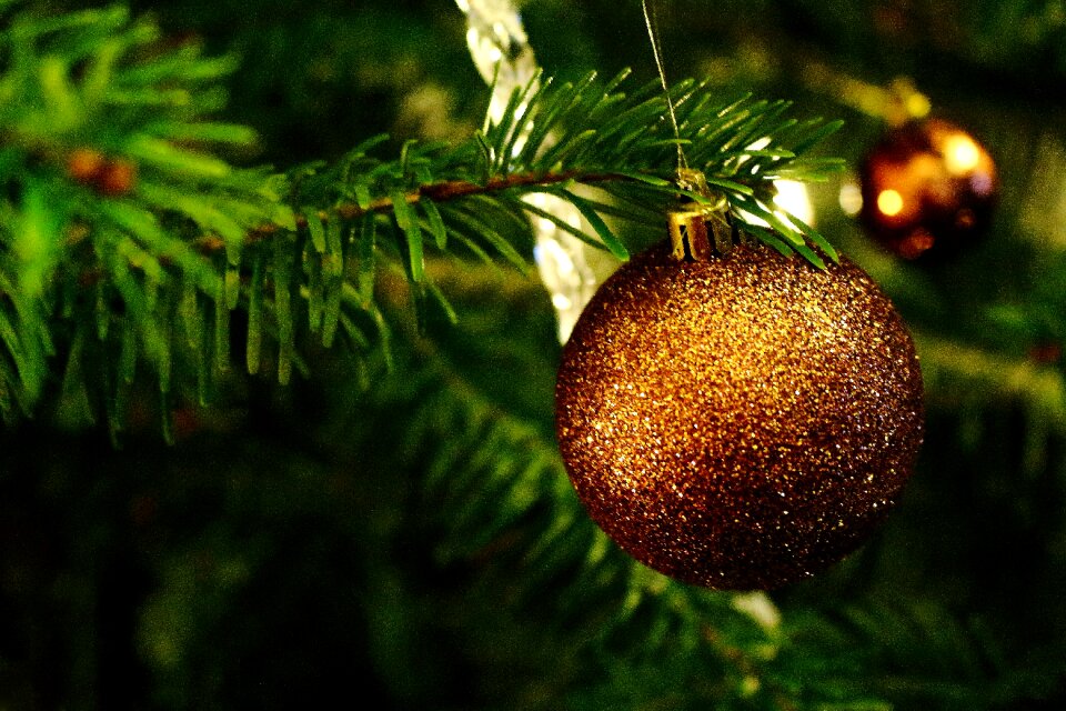 Christmas tree green background