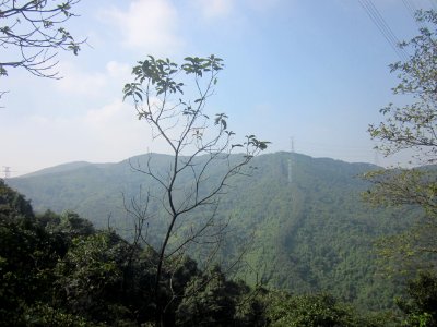 Mount Big Yangtai1