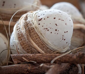 Tinker natural product easter