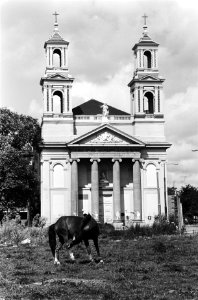 Mozes en Aaronkerk op Waterloople in Amsterdam, met een paard in het gras, Bestanddeelnr 930-9306