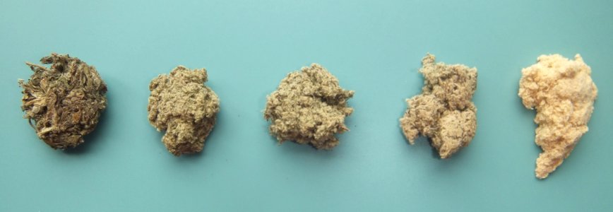 Moxa-samples-from-Japan