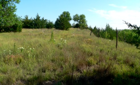 Mowry Bluff site face N 1