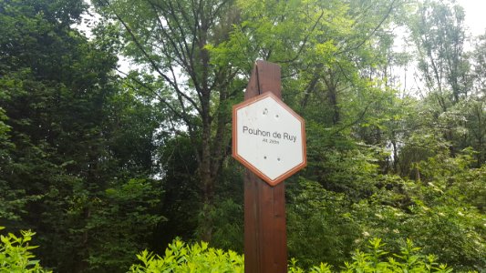 Moulin du Ruy-Pouhon du Ruy (1)