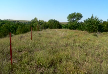 Mowry Bluff site face S 1