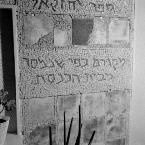 Mozaiek in de hal van de ambtswoning van de president van Israel, Bestanddeelnr 255-4243