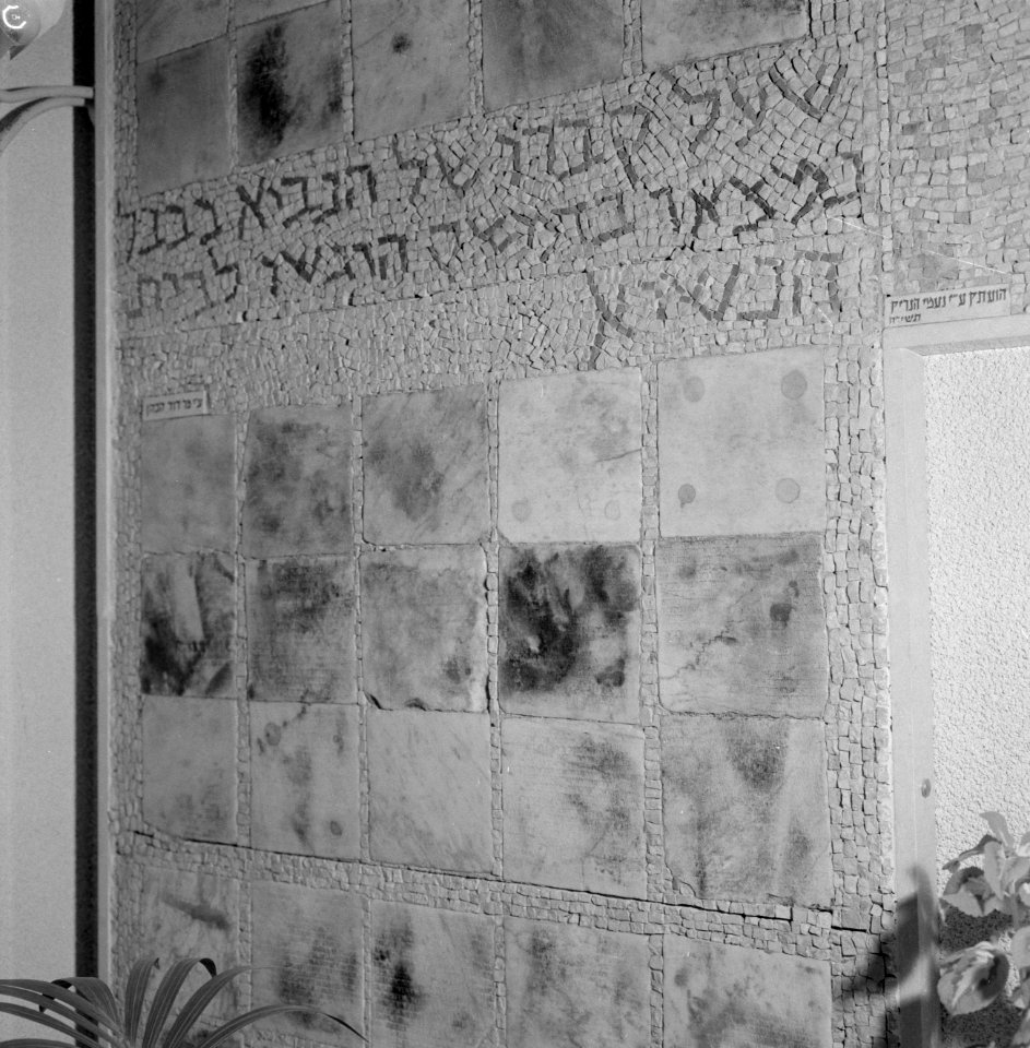 Mozaiek in de hal van de ambtswoning van de president van Israel, Bestanddeelnr 255-4244