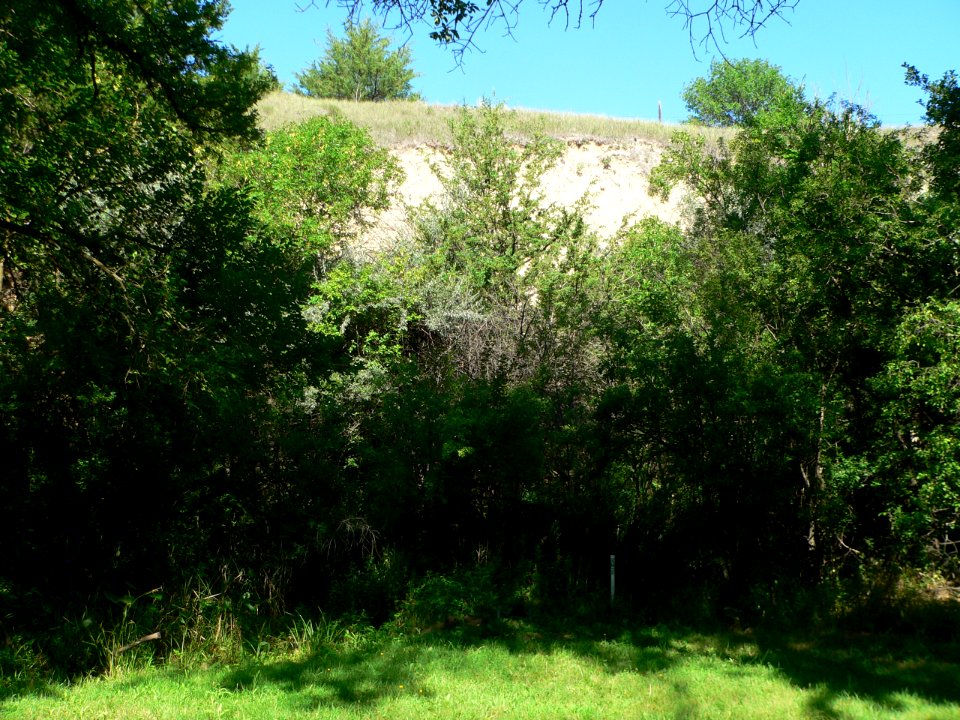 Mowry Bluff site from E 1