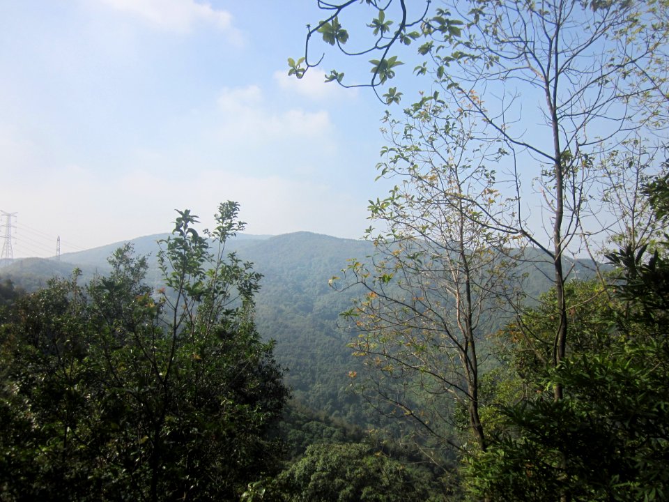 Mount Big Yangtai3