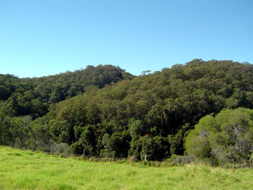 Mount Cotton from west 2