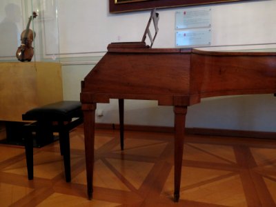 Mozartflügel 2