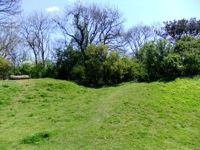 MowsburyHillfort1 photo