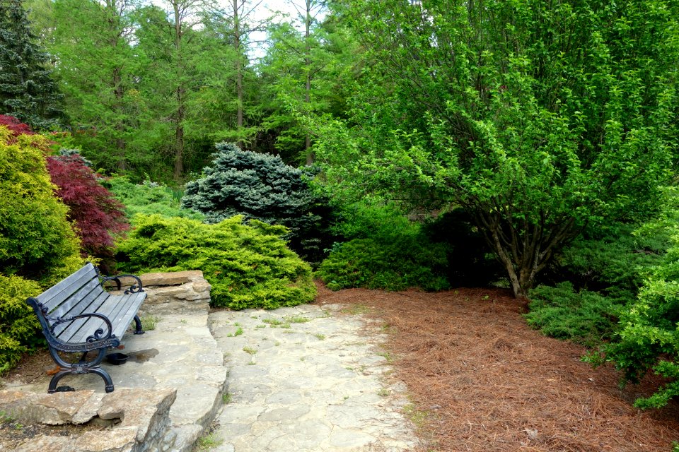 Mount Airy Arboretum - DSC03792