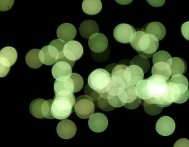 Green out of focus hell
