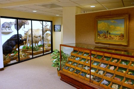 Mount Angel Abbey Museum - Mount Angel Abbey - Mount Angel, Oregon - DSC09955