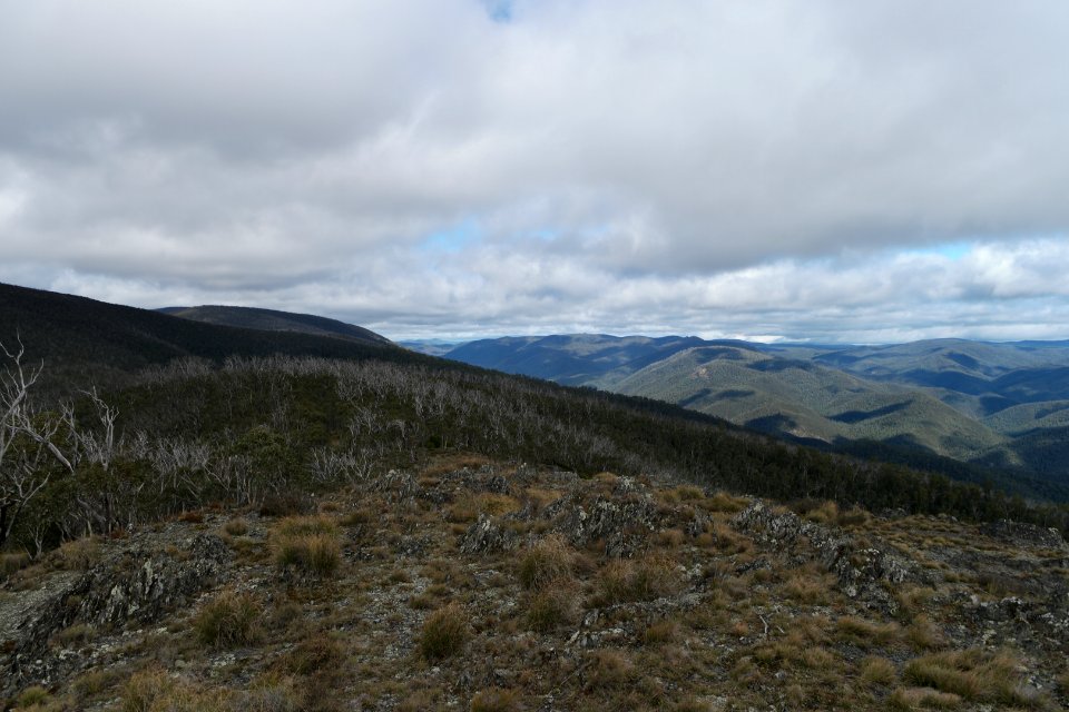 Mount Aggie, Brindabella Range, Namadgi National Park 07
