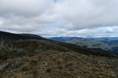 Mount Aggie, Brindabella Range, Namadgi National Park 07