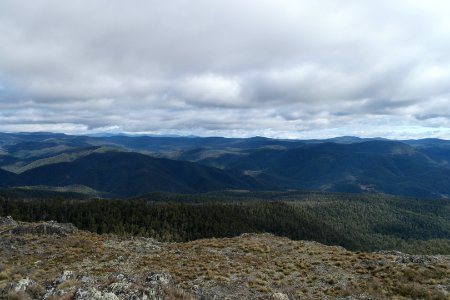 Mount Aggie, Brindabella Range, Namadgi National Park 16