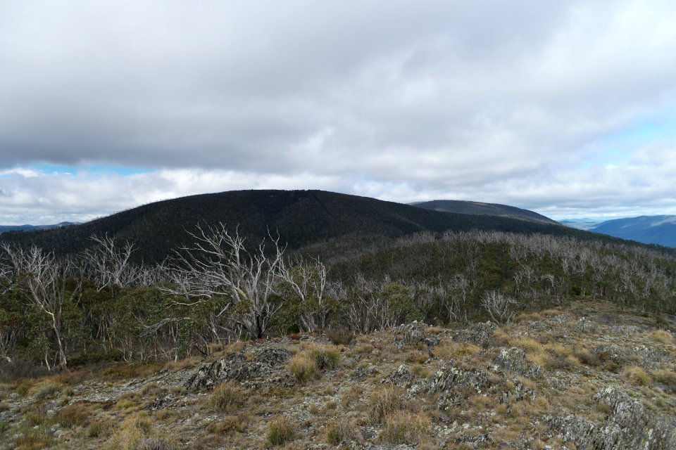 Mount Aggie, Brindabella Range, Namadgi National Park 12