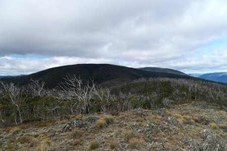 Mount Aggie, Brindabella Range, Namadgi National Park 12