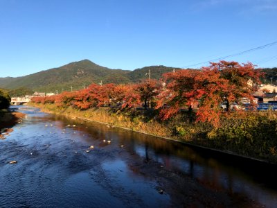 Mount Hiei 20191109