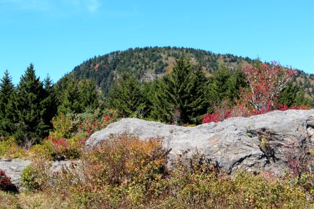 Mount Hardy NC, October 2016