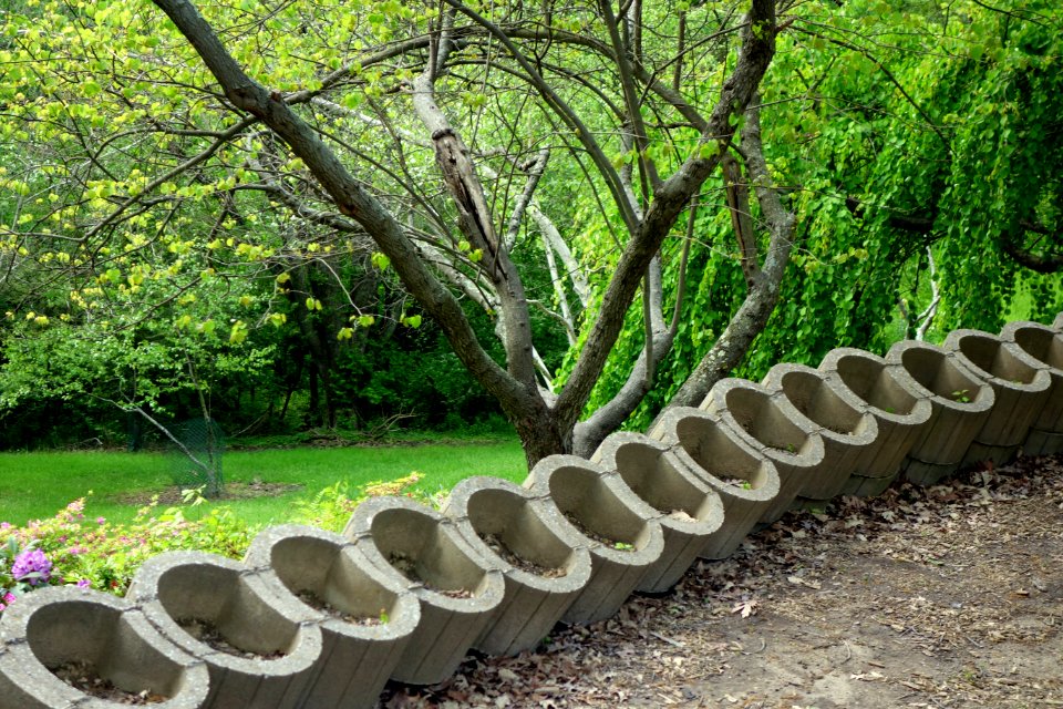 Mount Airy Arboretum - DSC03807