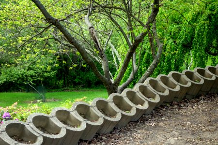 Mount Airy Arboretum - DSC03807
