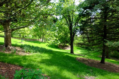 Mount Airy Arboretum - DSC03806