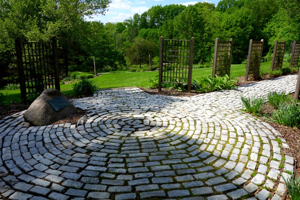 Mount Airy Arboretum - DSC03801