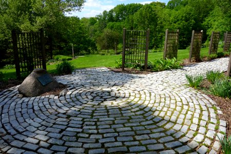 Mount Airy Arboretum - DSC03801