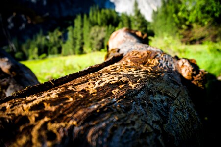 Landscape nature travel