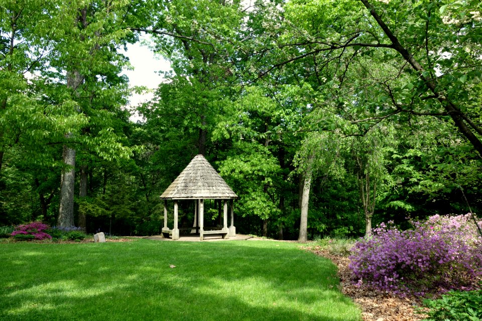 Mount Airy Arboretum - DSC03845