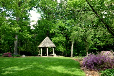 Mount Airy Arboretum - DSC03845