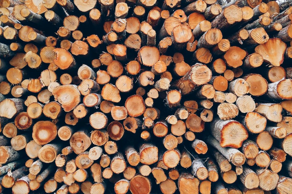 Forestry logs pattern