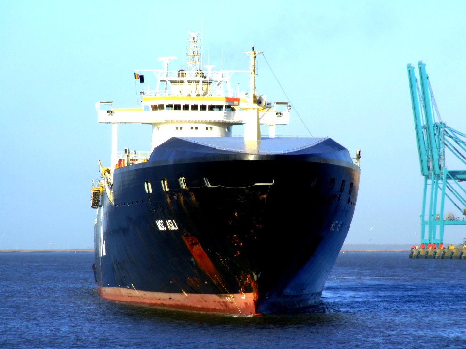 MSC Asli, Port of Antwerp 19Dec2008 pic2