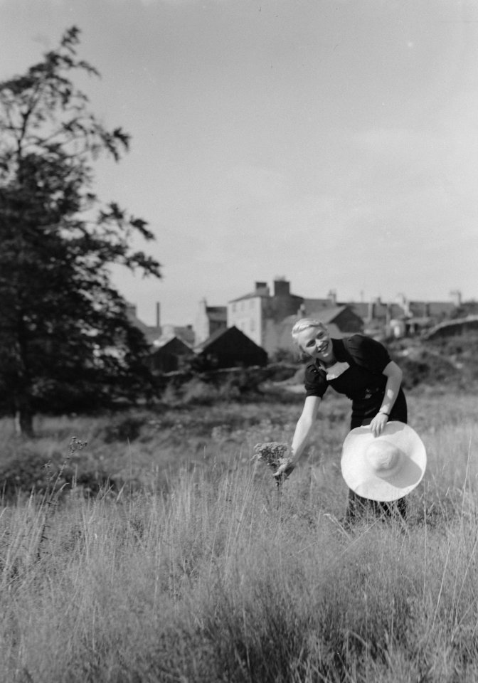 Mrs. Dalrymple plukt bloemen met een zonnehoed in haar hand, Bestanddeelnr 190-1057