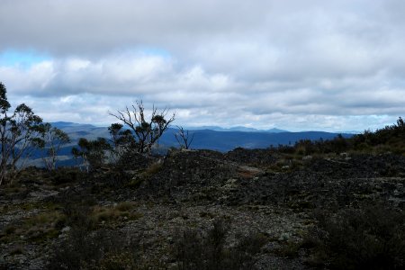 Mount Aggie, Brindabella Range, Namadgi National Park 06