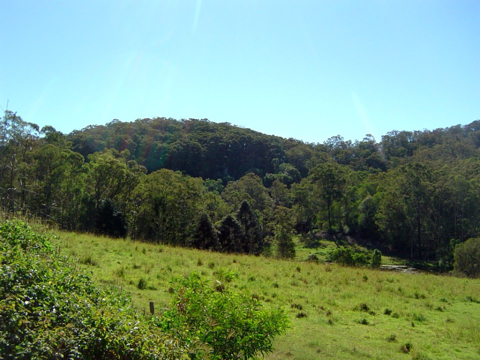 Mount Cotton from west