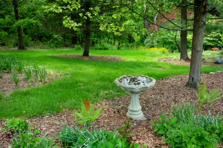 Mount Airy Arboretum - DSC03804